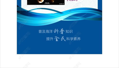 藍色海洋科普圖文展易拉寶設計全攻略 從創意到成品的視覺盛宴